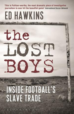 Cover of the book The Lost Boys by Lucinda Gosling