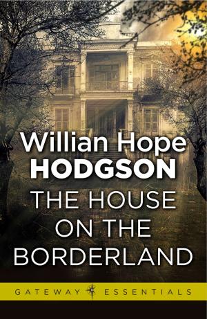 Cover of the book The House on the Borderland by Barry N. Malzberg