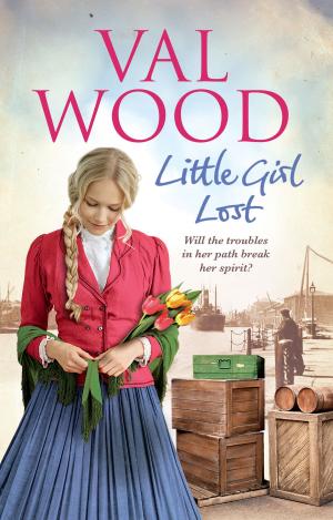Cover of the book Little Girl Lost by Matthew Todd