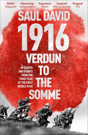Cover of the book 1916: Verdun to the Somme by Denise Robins