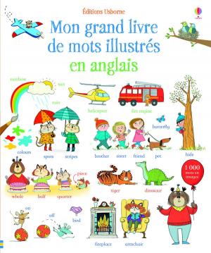Cover of the book Mon grand livre de mots illustrés en anglais by Philippe Grangereau
