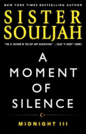 Cover of the book A Moment of Silence by Jess Kidd