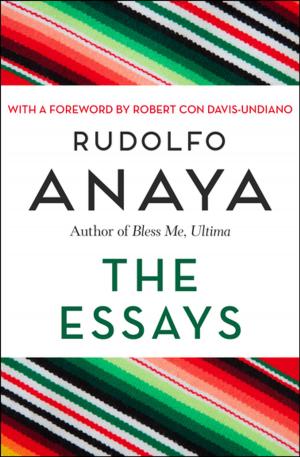 bigCover of the book The Essays by 