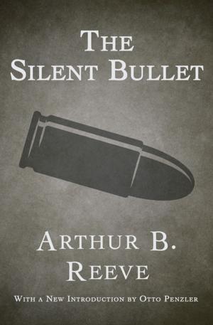 Cover of the book The Silent Bullet by 莫琳．派森．吉莉特 Malin Persson Giolito