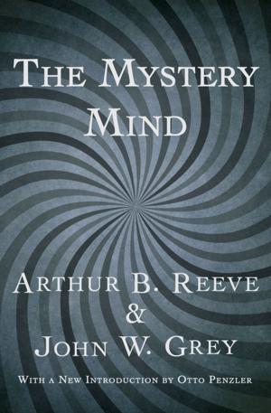 Cover of the book The Mystery Mind by Brian Freemantle