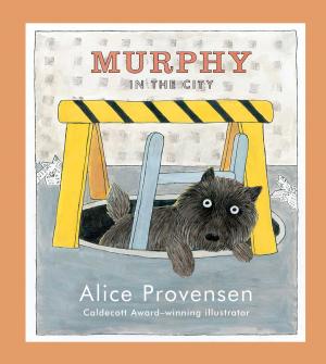 Cover of the book Murphy in the City by Anica Mrose Rissi