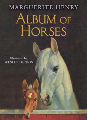 Cover of the book Album of Horses by Robert Quackenbush