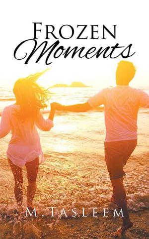 Cover of the book Frozen Moments by Srinivas Laxman