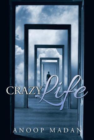 Cover of the book Crazy Life by Dipankar Das
