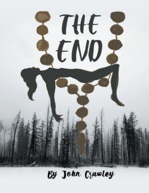 Cover of the book The End by Paul Sky Berry