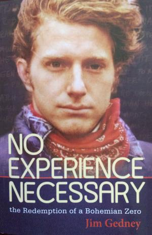 Cover of the book No Experience Necessary by Stephen Harrod Buhner