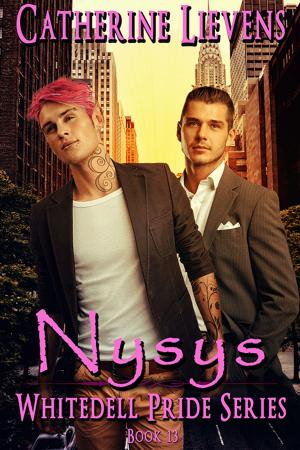 Cover of the book Nysys by Jon Bradbury