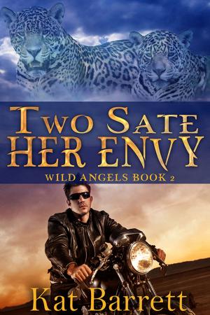 Cover of the book Two Sate Her Envy by Kat Barrett