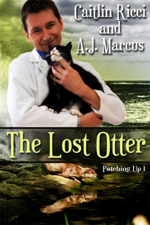 Cover of the book The Lost Otter by Catherine Lievens