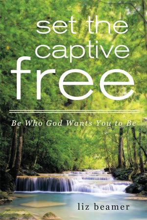 Cover of the book Set the Captive Free by Maxwell Thurston