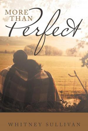 Cover of the book More Than Perfect by Frannie Watson