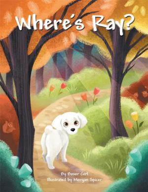 Cover of the book Where's Ray? by Renee' Picardi