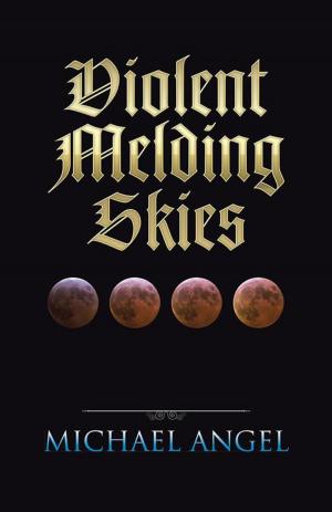 Book cover of Violent Melding Skies