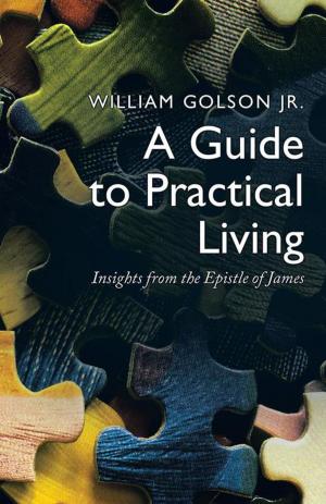 Cover of the book A Guide to Practical Living by Siv Maria Ottem