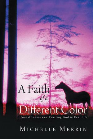 Cover of the book A Faith of a Different Color by Kenneth Robb Kersey