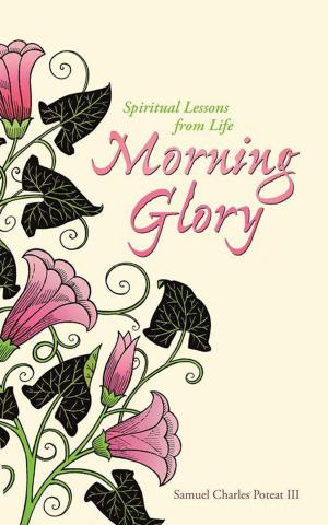 Cover of the book Morning Glory by Blake W. Barrow