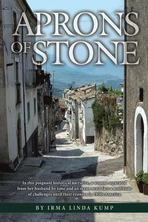 Cover of the book Aprons of Stone by Rebecca Tebbs Nunn