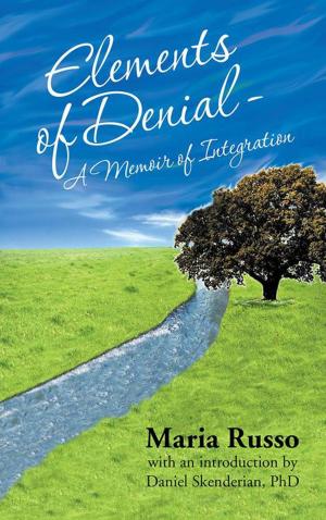 Cover of the book Elements of Denial - a Memoir of Integration by Zed Merrill