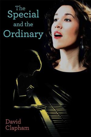 Cover of the book The Special and the Ordinary by Gretchen Godfrey