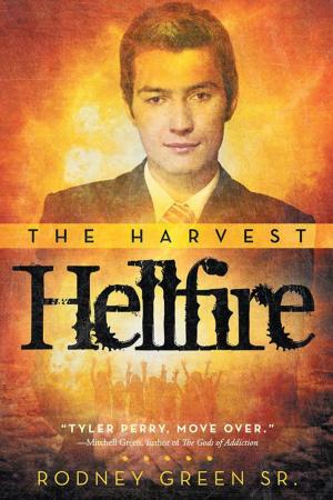 Cover of the book Hellfire by Linda M. Sharp