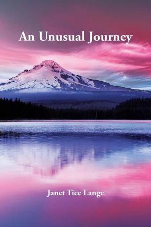 Cover of the book An Unusual Journey by Darryl Morris