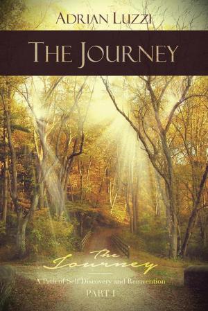 Cover of the book The Journey by Millard Owens, Tadd Webber