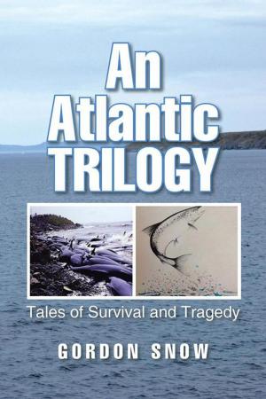 Cover of the book An Atlantic Trilogy by Donn Wright