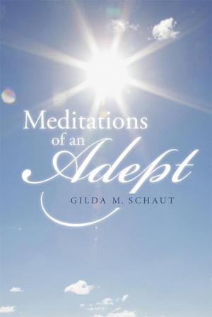 Cover of the book Meditations of an Adept by James Bernasko MDFACOG CDE