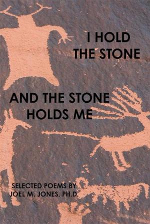 Book cover of I Hold the Stone and the Stone Holds Me