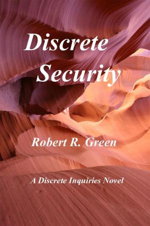 Book cover of Discrete Security