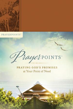Cover of the book PrayerPoints by Jim Henderson, George Barna
