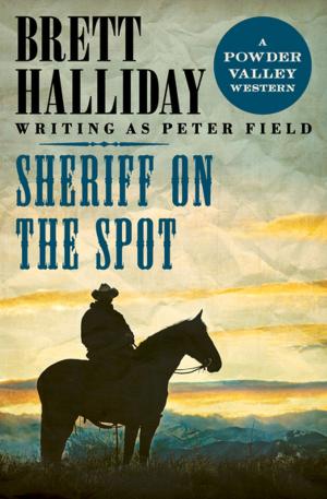Cover of the book Sheriff on the Spot by Jack Higgins