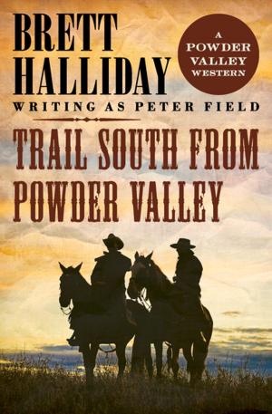 Cover of the book Trail South from Powder Valley by Dave Duncan