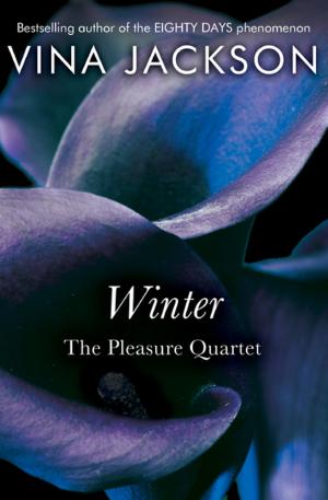 Cover of the book Winter by Nancy Springer