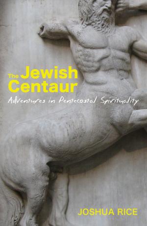 Cover of the book The Jewish Centaur by David M. Csinos