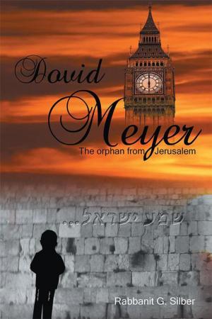 Cover of the book Dovid Meyer by Klaus Nurnberger