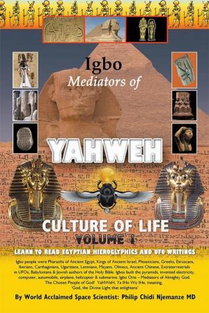 Cover of the book Igbo Mediators of Yahweh Culture of Life by Victor Okechukwu Anyaegbuna
