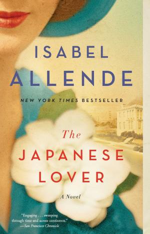 Cover of the book The Japanese Lover by Hana Schank