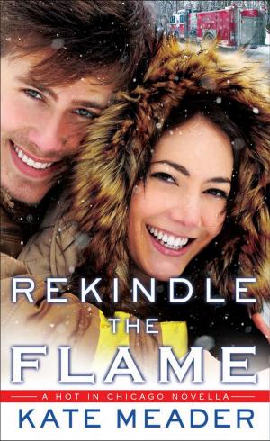 bigCover of the book Rekindle the Flame by 