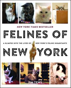 Cover of the book Felines of New York by John McCain, Mark Salter