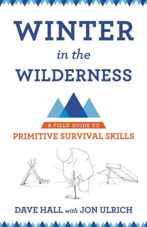 Cover of the book Winter in the Wilderness by Michael A. Santoro
