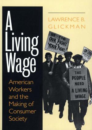 Cover of the book A Living Wage by Cheryl Strauss Einhorn