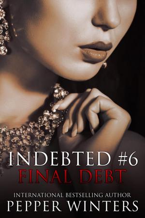 Cover of the book Final Debt by Danita Cahill