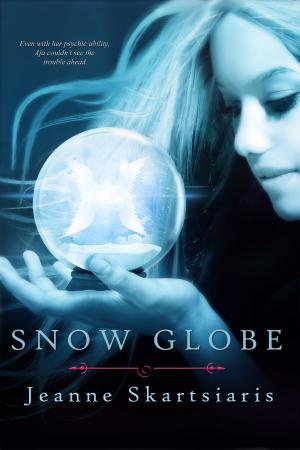 Book cover of Snow Globe