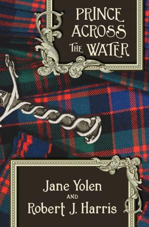 Cover of the book Prince Across the Water by Caroline B. Cooney
